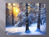 Покормите птиц зимой