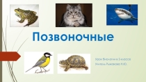 Позвоночные