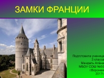 Презентация по окружающему миру на тему Замки Франции (ученицы 3 класса)