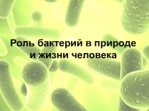 Презентация по биологии на тему Роль бактерий в природе и жизни человека