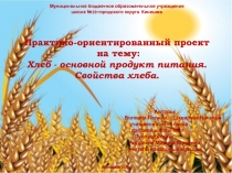 Практико-ориентированный проект на тему: Хлеб - основной продукт питания
