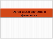 Орган слуха: анатомия и физиология