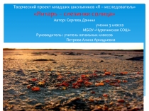 Исследовательская работа на тему Янтарь -слезинки солнца