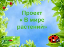 Проект В мире растений
