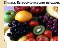 Презентация Плоды 5 класс