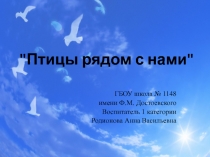 Презентация проекта по окружающему миру на тему Птицы рядом с нами