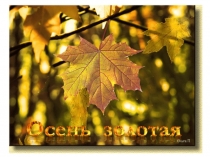 Презентация к конкурсной программе Мисс Золотая осень