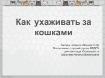 Презентация Как ухаживать за кошками