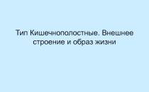 Презентация по биологии Тип Кишечнополостные (7 класс)