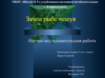 Презентация научно - исследовательской работы Зачем рыбе чешуя