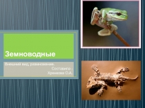 Презентация по окружающему миру на тему Земноводные