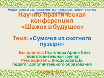 Презентация по ручному труду на тему Сумочка из скотного пузыря подготовительная группа
