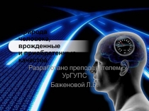 Презентация по обществознанию Человек. Индивид. Личность