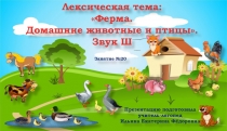 Презентация. Лексическая тема: Ферма. Домашние животные и птицы. Звук Ш. Индивидуальное логопедическое занятие . Средний дошкольный возраст. ЗРР.