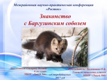 Презентация к конкурсу Росток