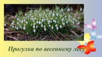 Оздоровительная гимнастика для детей дошкольного возраста на базе Хатха-йоги.