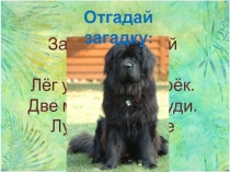 Презентация по русскому языку на тему  Изложение Кто хозяин?