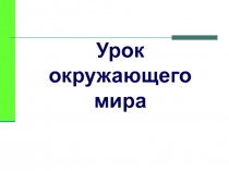 Урок ОМ в 3 классе Как нужно питаться