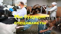 Презентация для проведения внеклассного мероприятия по дисциплине Клиническая диагностика стосновами незаразных болезней