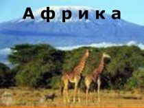 Презентация по географии на тему Африка. Физико - географическое положение материка(7 класс)