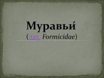 Презентация по биологии Муравьи (5 класс)