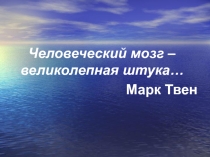 Презентация по биологии в 8 классе по теме Строение головного мозга