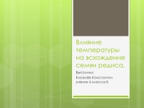 Презентация Проект Влияние температуры на прорастание семян редиса