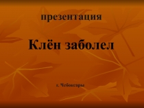 Презентация по окружающему миру  Клён заболел