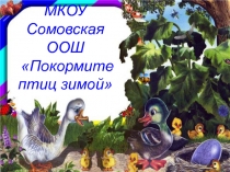 Покормите птиц зимой