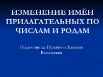 Презентация по русскому языку на тему: Изменение имён прилагательных по числам и родам.