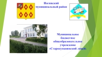 Дистанционная система обучения в лицее.