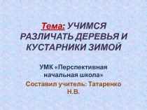 Презентация по окружающему миру Как отличить деревья и кустарники зимой?