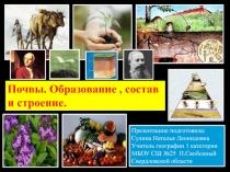 Презентация по географии на тему Почвы.Образование,состав и строение(8 класс)