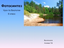 Презентация по биологии 6 класс Фотосинтез