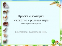 Проект сюжетно - ролевая играЗоопарк для детей старшего дошкольного возраста