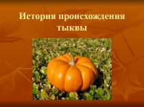 Презентация к проекту Тыква - царица овощей