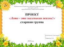 Проект для старшей группы детского сада Здоровое лето