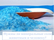 Нужны ли минеральные соли животным и человеку?