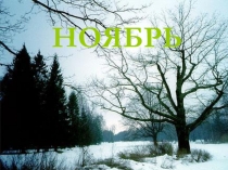 Презентация по окружающему миру Минутка календаря Ноябрь