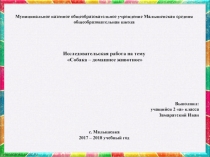 Собака - домашнее животное