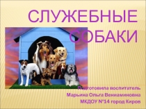 Презентация по окружающему миру на тему Служебные собаки для ДС