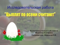 Исследовательская работа Цыплят по осени считают ученицы 4 А класса МАОУ СОШ № 28 г. Сыктывкара