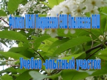 Презентация отчет Учебно-опытный участок