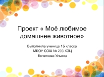 Проект  Моё любимое домашнее животное