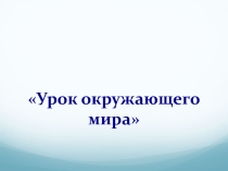 Презентация к уроку окружающего мира