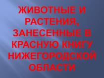 Животные и растения Красной книги
