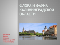 Презентация Флора и фауна Калининградской области
