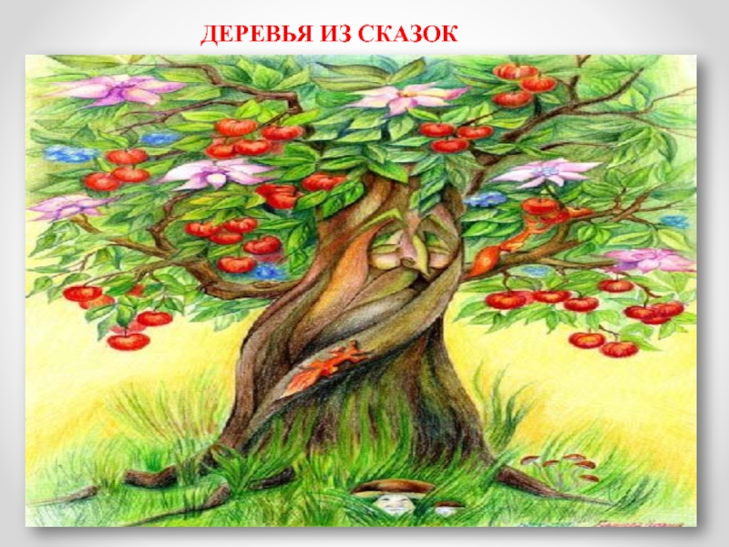 Рисуем сказочное дерево (внеурочная учебная деятельность, акварелька) ДЕРЕВЬЯ ИЗ СКАЗОК ДЕРЕВЬЯ ИЗ СКАЗОК