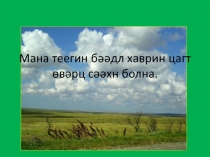 Презентация  Степные травы