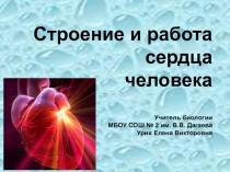 Презентация по биологии на тему Строение и работа сердца человека(8 класс)